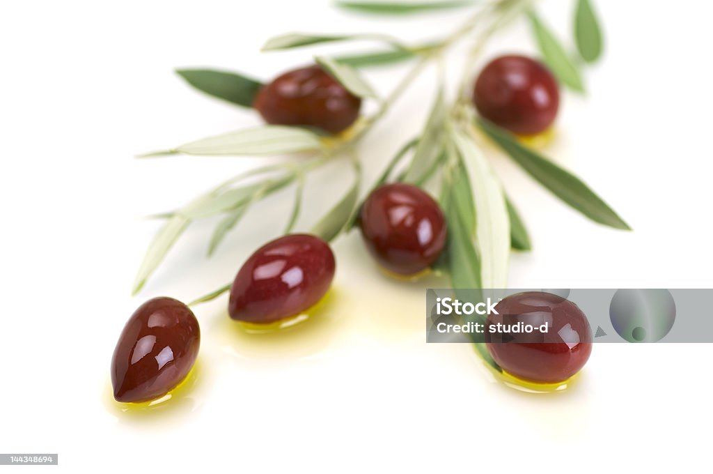 Branch of black olives with olive oil Photograph shot in studio. Black Color Stock Photo