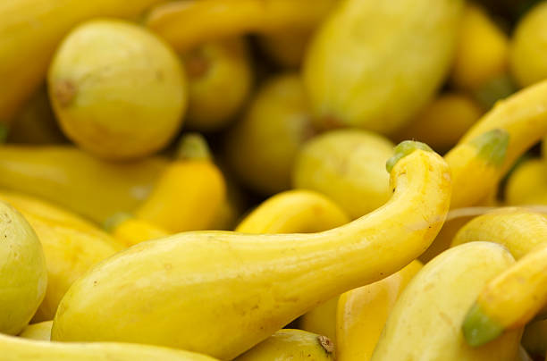 jaune de squash - crookneck squash photos et images de collection