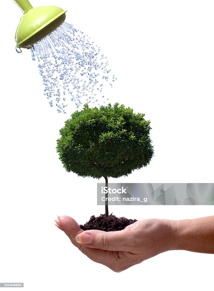 will look after you #1 caring and keeping a tree safe from global warming  Climate Change Stock Photo