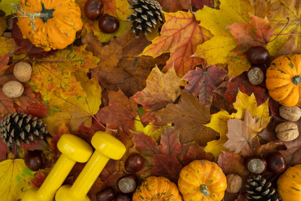 istock Autumn gym composition, with dumbbells and pumpkins on fall leaves. 1443490025