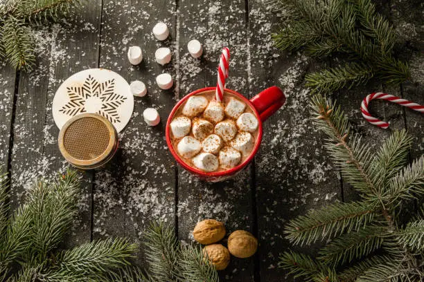 Mug of hot Christmas chocolate or cocoa, with marshmallows sprinkled with cinnamon and candy canes. Surrounded by tree branches.