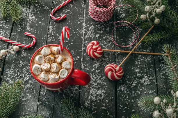 Mug of hot Christmas cocoa, with marshmallows sprinkled with cinnamon and candy canes. Surrounded by tree branches, Gift wrapping string and delicious sweet lollipops.
