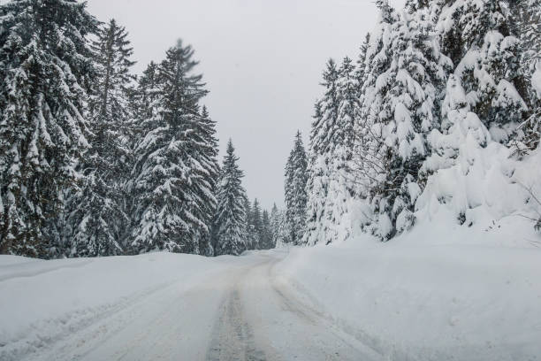 istock Driving home for Christmas 1443490919
