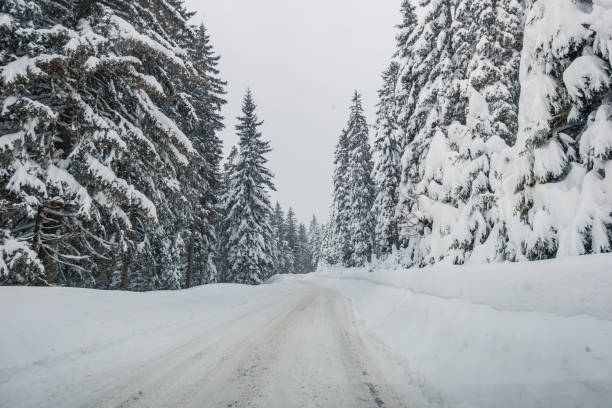 istock Snow covered road from the drives point of view 1443490933