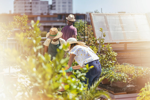 Friends gardening on the urban rooftop terrace