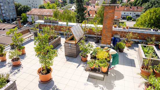 High angle view of young woman taking care of her plants on a rooftop garden.