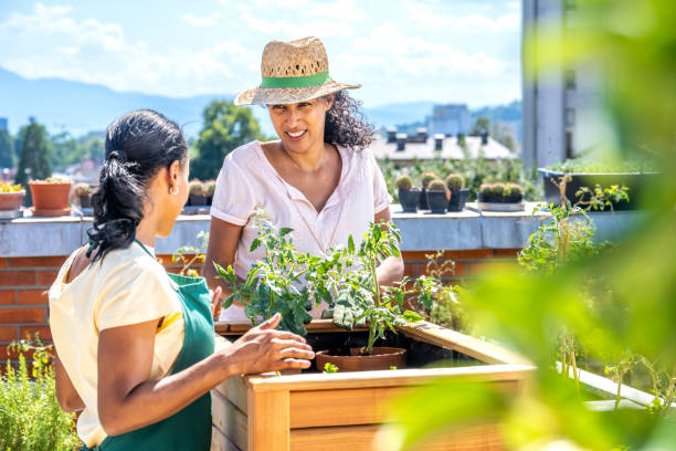 istock Urban gardening together on a rooftop 1443491792