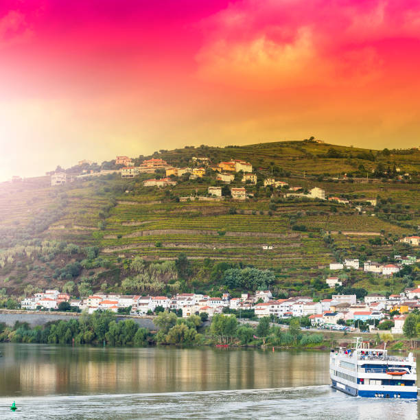 istock Travel in River Douro region 1443492531