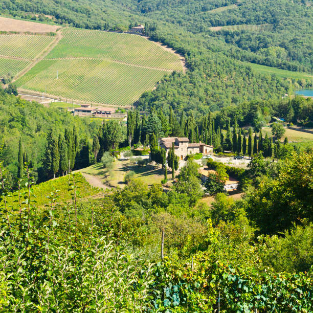 Classical Tuscany landscape - rolling hills and vineyards in autumn colors