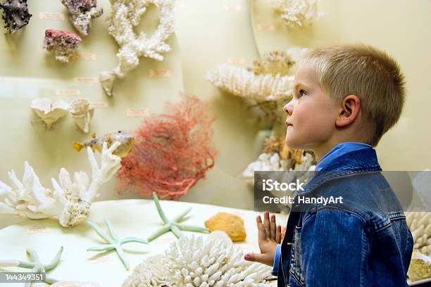 Studiare Sea Life - Fotografie stock e altre immagini di Museo - Museo, Natura, Mare