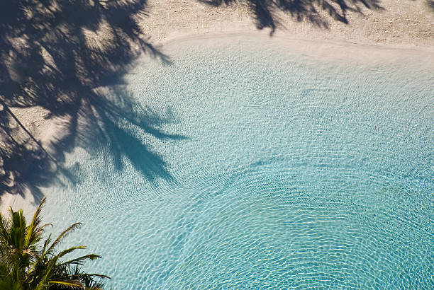 istock Palm Shade Over Tropical Lagoon 144349419