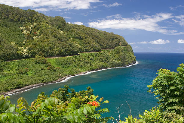 istock Highway to Hana, Maui 144349450