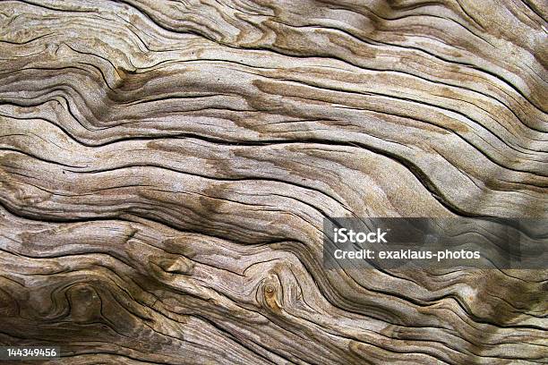 流木 - 流木のストックフォトや画像を多数ご用意 - 流木, 質感, フルフレーム