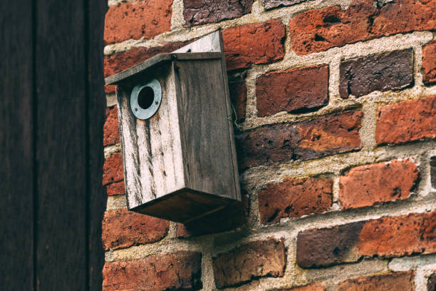 istock Old wooden nesting box bird house on the wall 1443495391