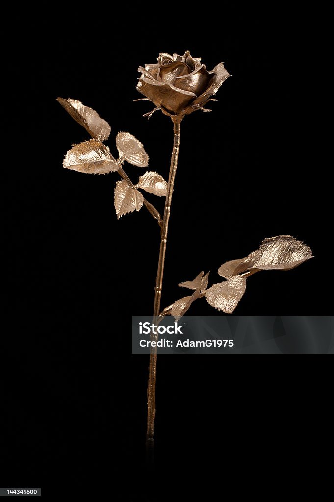 Golden rose - Lizenzfrei Abgestorbene Pflanze Stock-Foto