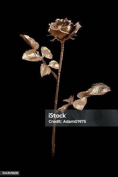 Golden Rose Stockfoto und mehr Bilder von Abgestorbene Pflanze - Abgestorbene Pflanze, Abstrakt, Ausgedörrt