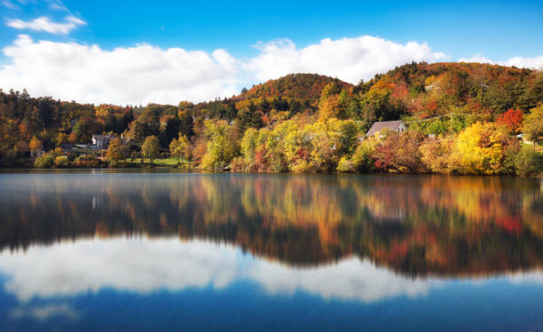 istock Nice autumn forest reflection in water, Banska Stiavnica 1443497425