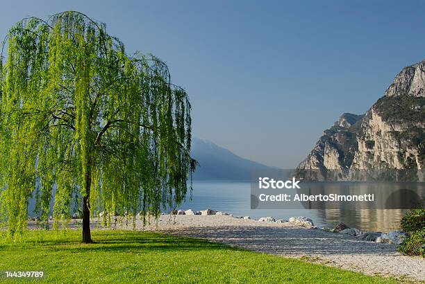 Riva Del Gardaitália - Fotografias de stock e mais imagens de Lago - Lago, Riva del Garda, Salgueiro-chorão