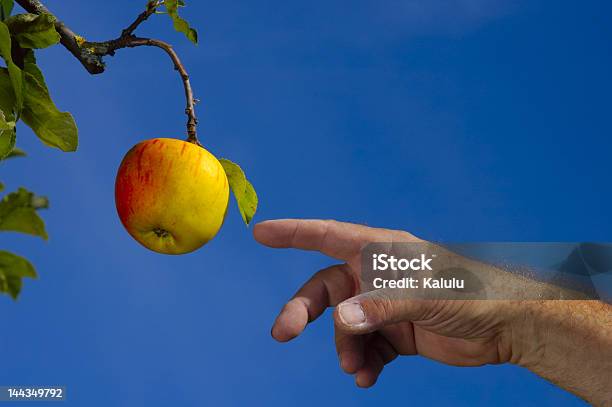 Verbindung Mit Der Natur Stockfoto und mehr Bilder von Obst - Obst, Ursprung, Wahlmöglichkeit