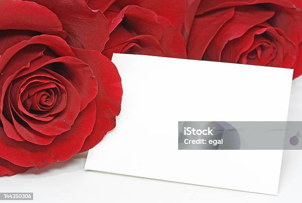 Rote Rosen Mit Einer Blanko Stockfoto und mehr Bilder von Blume - Blume, Blumenschmuck, Blütenblatt