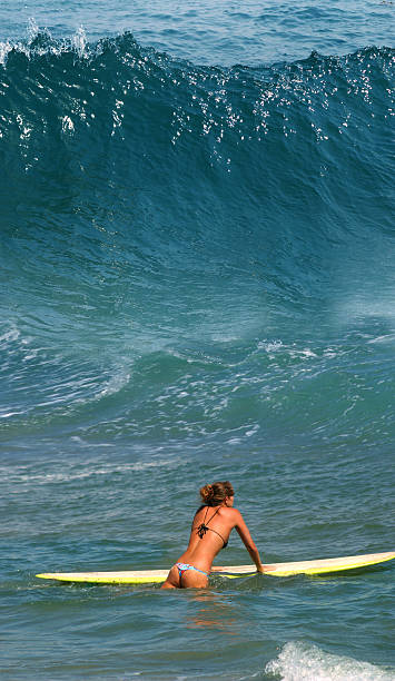 Pronto para surfar - fotografia de stock