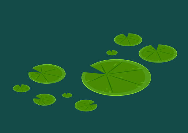 240+ Cartoon Of The Lotus Flower Logo Illustrations, Royalty-Free