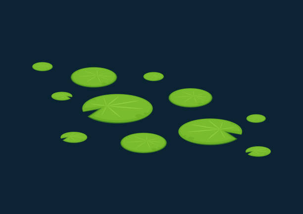 170+ Lotus Flower Free Cartoon Stock Photos, Pictures & Royalty-Free