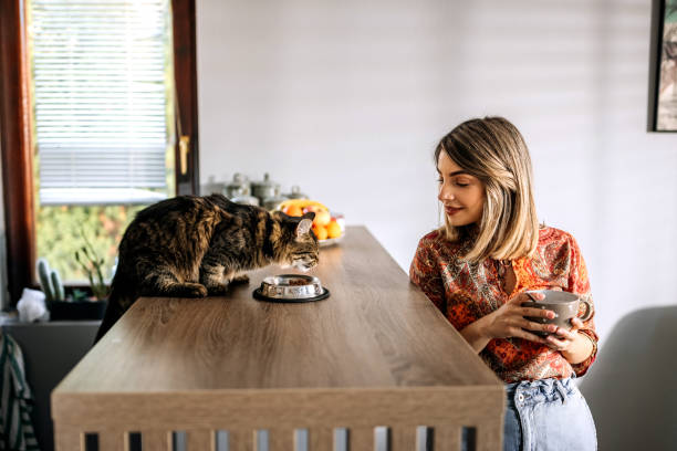 istock Morning routine with my best friend 1443507386