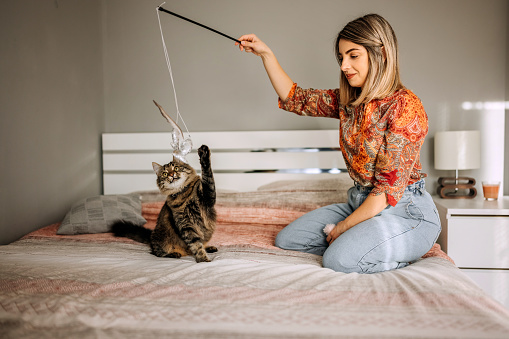 Young casually clothed woman playing with her cat on the bed