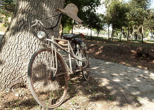 Vintage tandem bicycle 
leaned on a tree trunk