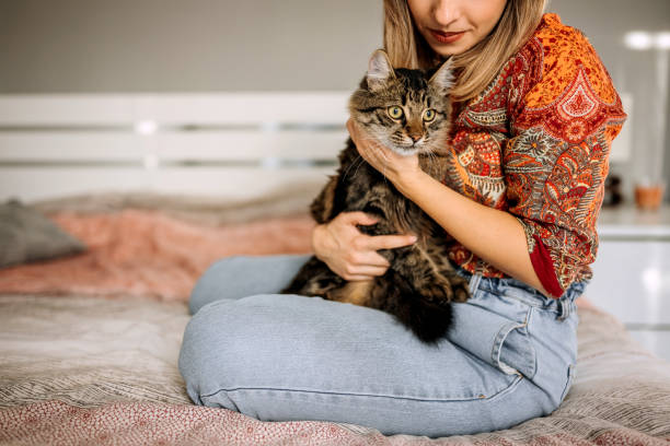 istock I love you! 1443507687