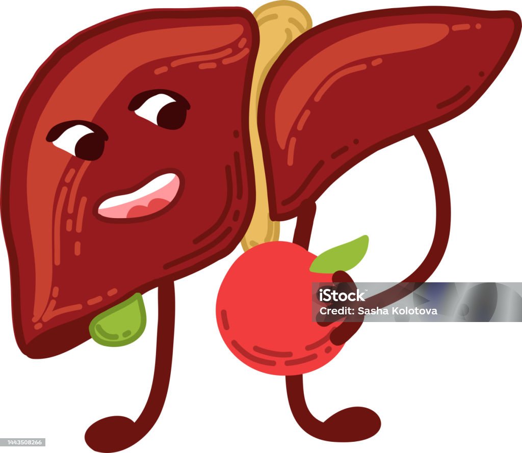 Ilustración de Hígado De Dibujos Animados Y Comida Saludable Estilo De Vida  Saludable Cuida Tu Hígado Mes De Concientización Sobre El Hígado y más  Vectores Libres de Derechos de Alimento - iStock