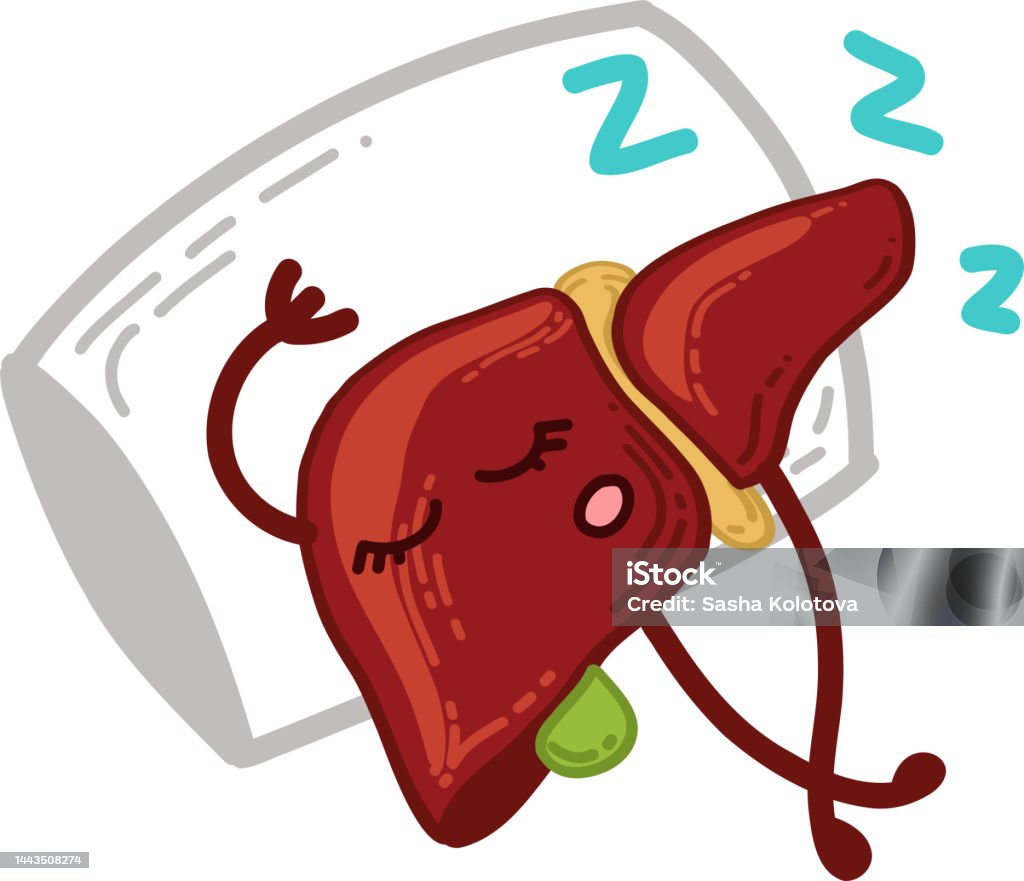 Ilustración de Hígado De Dibujos Animados Y Descanso Estilo De Vida Saludable No Sobrecargue El Hígado y más Vectores Libres de Derechos de Anatomía - iStock Ilustración de Hígado De Dibujos Animados Y Descanso Estilo De Vida Saludable No Sobrecargue El Hígado y más Vectores Libres de Derechos de Anatomía - iStock