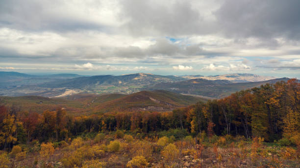 istock Yellow autumn forest on a mountain slope 1443509479