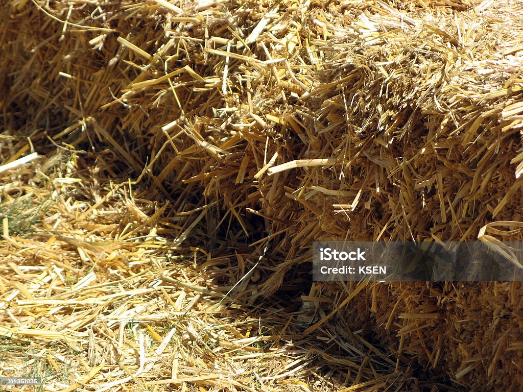 Hay - Lizenzfrei Agrarbetrieb Stock-Foto