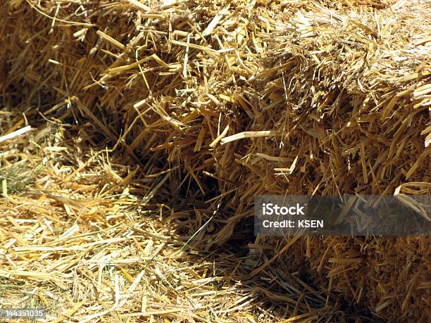 Hay Stockfoto und mehr Bilder von Agrarbetrieb - Agrarbetrieb, Ausgedörrt, Bedecken