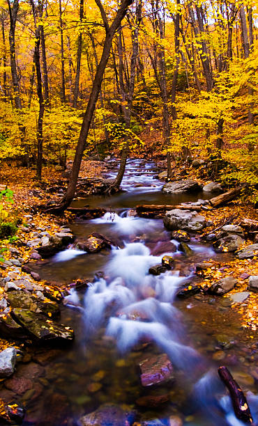 istock Fall Colors at Delaware Water Gap, NJ 144351057