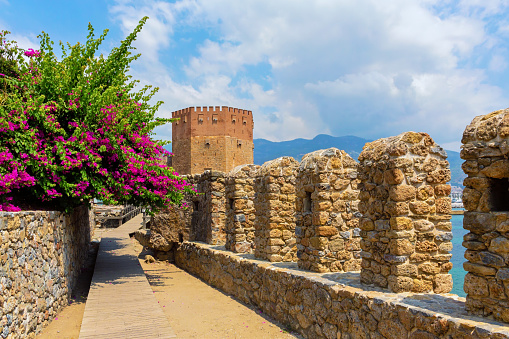 The Red Tower (Kizil Kule) and the citadel wall. Medieval fortress in Alanya, pupular touris point. Antalya district, Turkey (Turkiye). Tourism or hisory concept