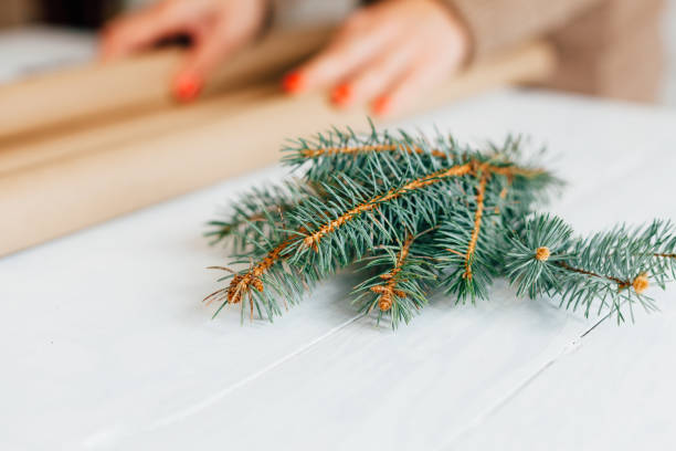 istock Close Up Of Pine Branches 1443512642