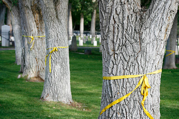 istock Tie a Yellow Ribbon... 144351345