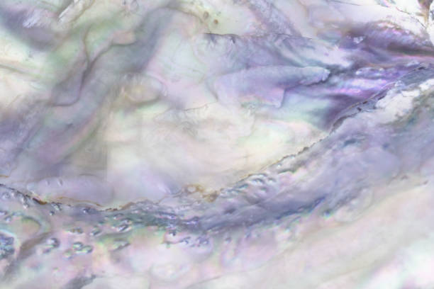 istock Beautiful pearl nacre texture background 1443514581