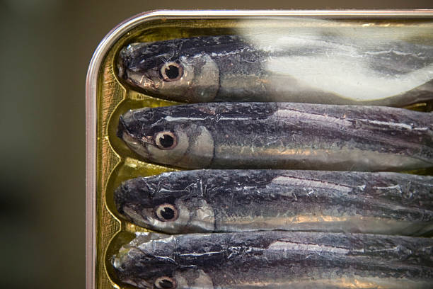 Stretti come sardine in stagno - foto stock