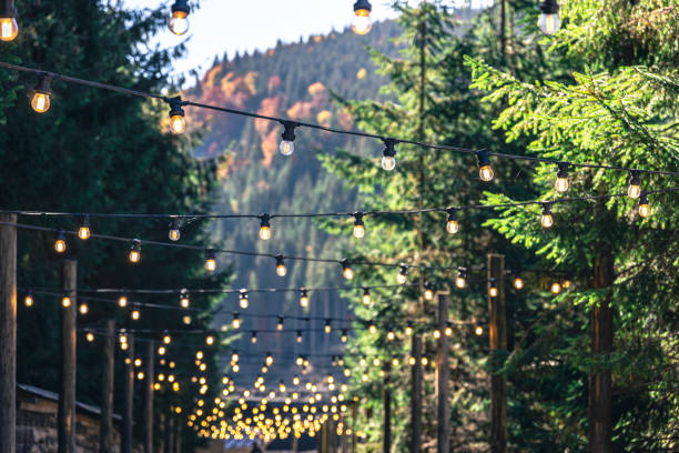 istock Decorative light bulbs on wooden poles in a mountainous area. 1443514881