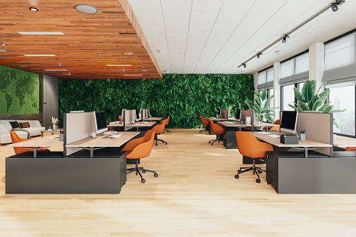 Interior of a green open plan office space with vertical garden and plants.