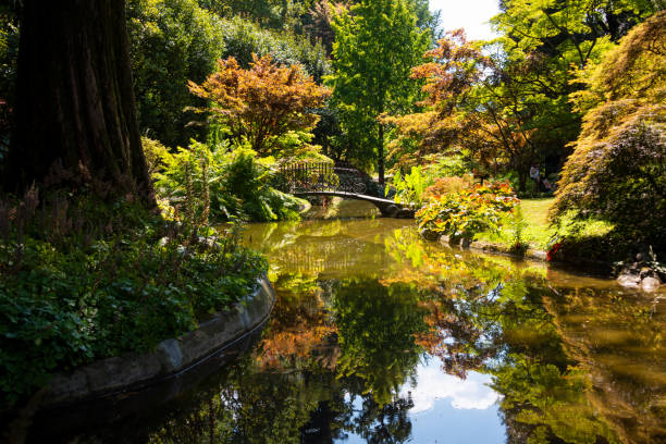 istock Pond in a garden with a bridge and beautiful trees 1443517106