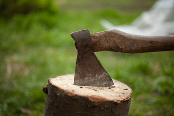 istock Axe in log. Axe for chopping firewood. Garden tool. 1443517715