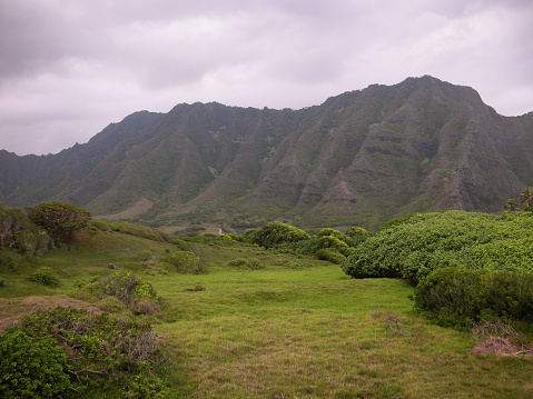Green mountain. Mountain range in Hawaii, Oahu. Jurassic park mountain scene.