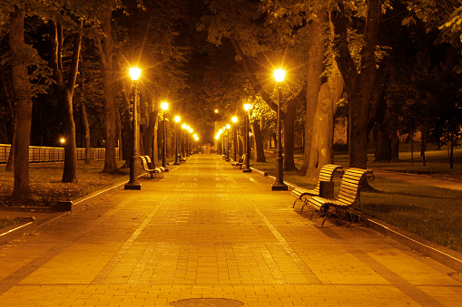 bench in the park , night, linear perspective , and road lights. park
