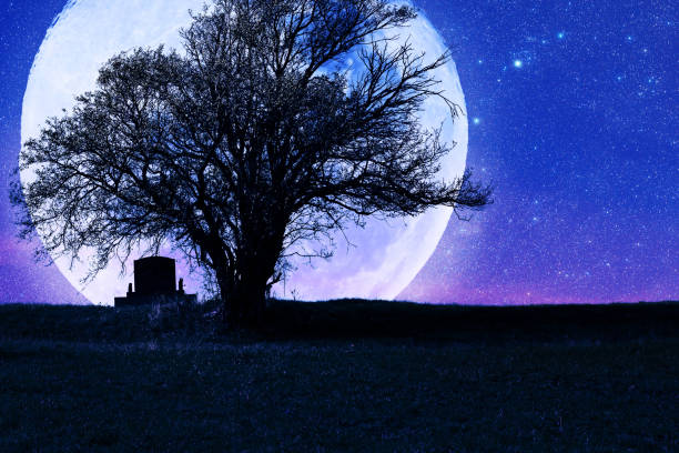 istock Lonely grave with oak tree under starry and Moonlit night. 1443521776