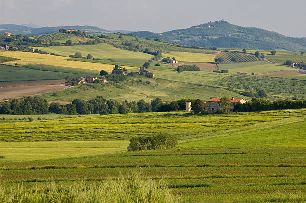 Tuscany Green Hill stock photo